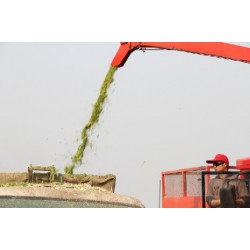 1-BIGDEL 2 SIRALI MISIR SILAJ MAKİNESİ